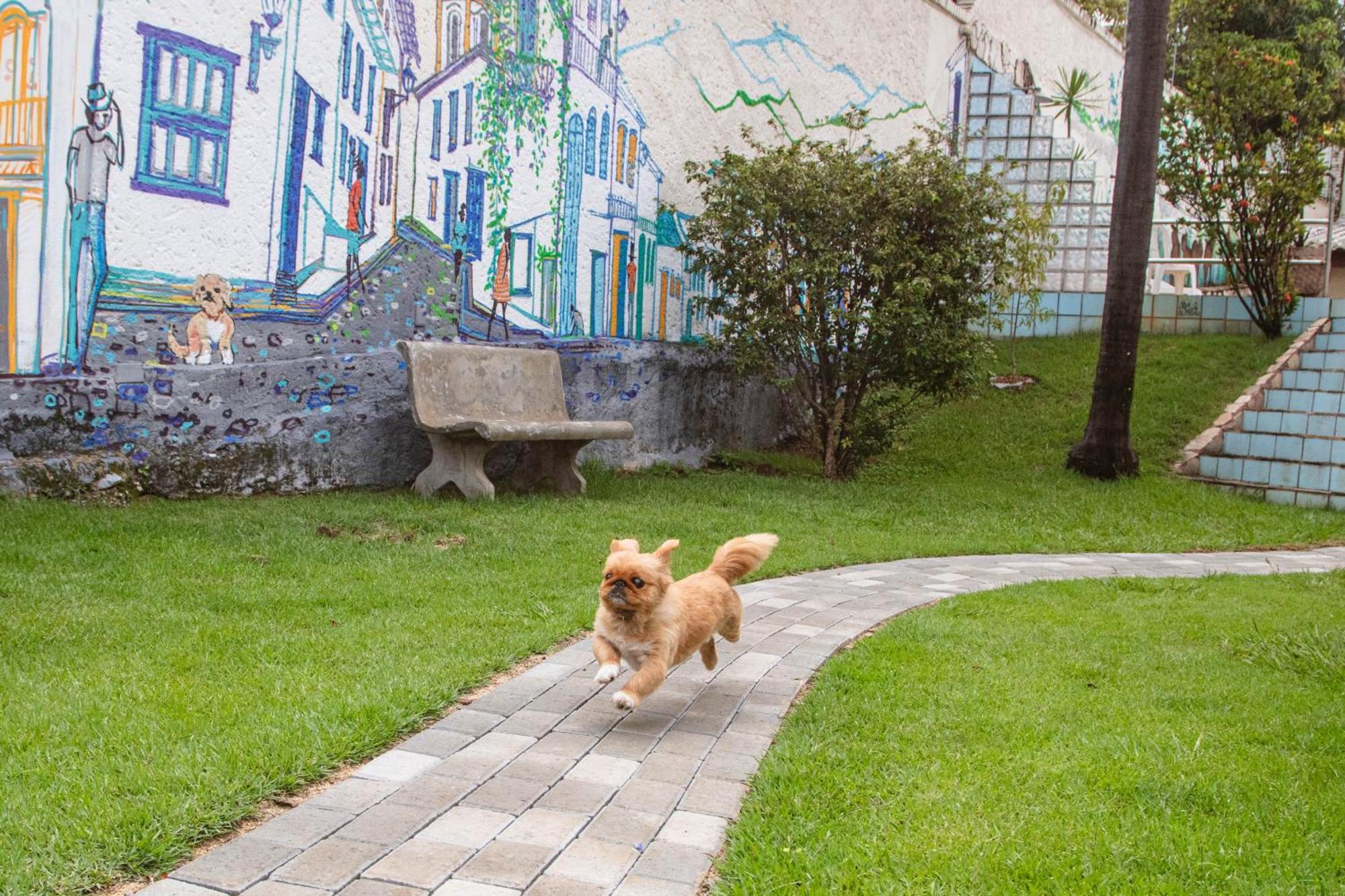 Woods Hostel 벨루오리존치 외부 사진